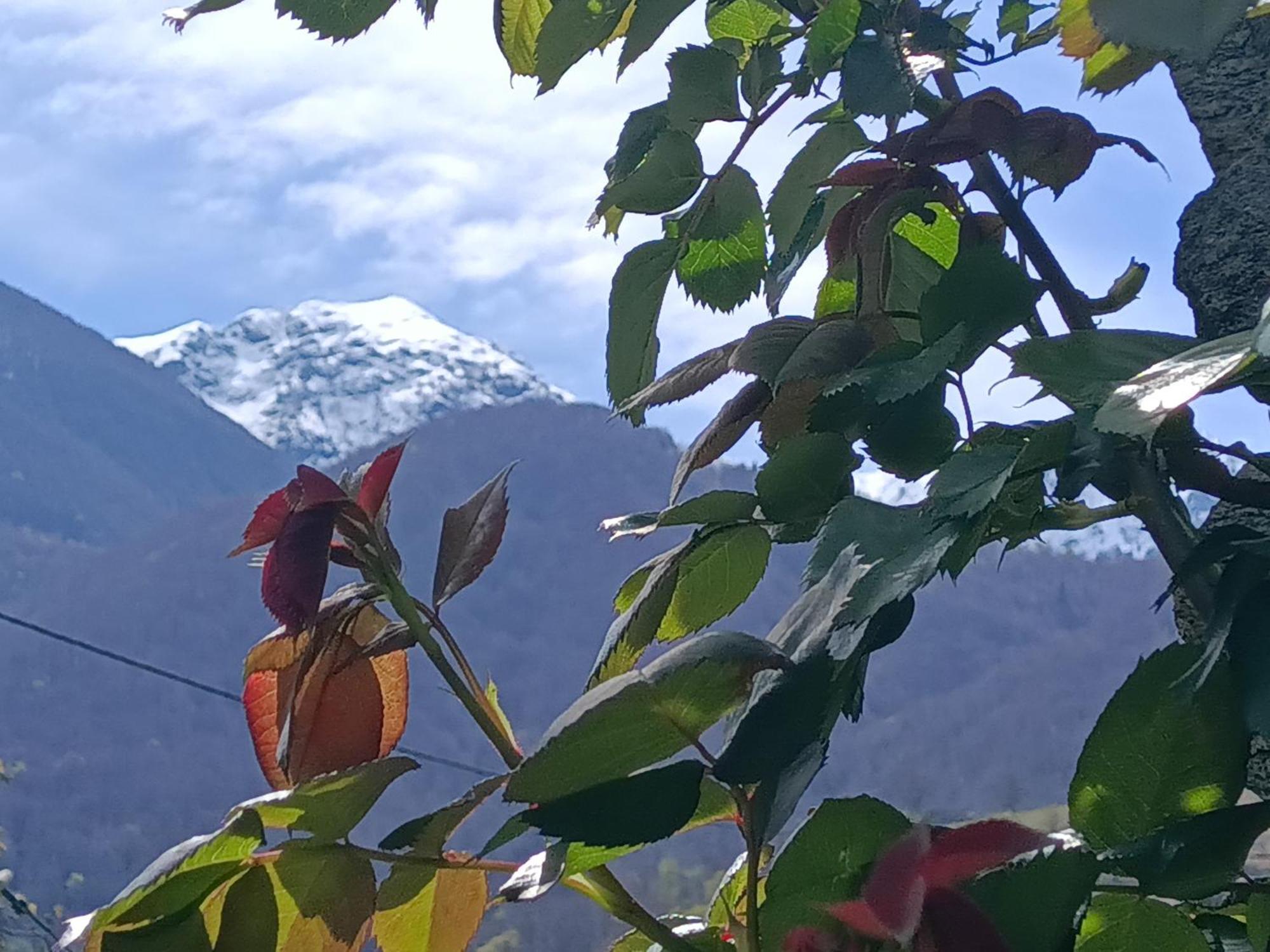 Rustico "Casa Di Sasso" Villa Intragna Luaran gambar