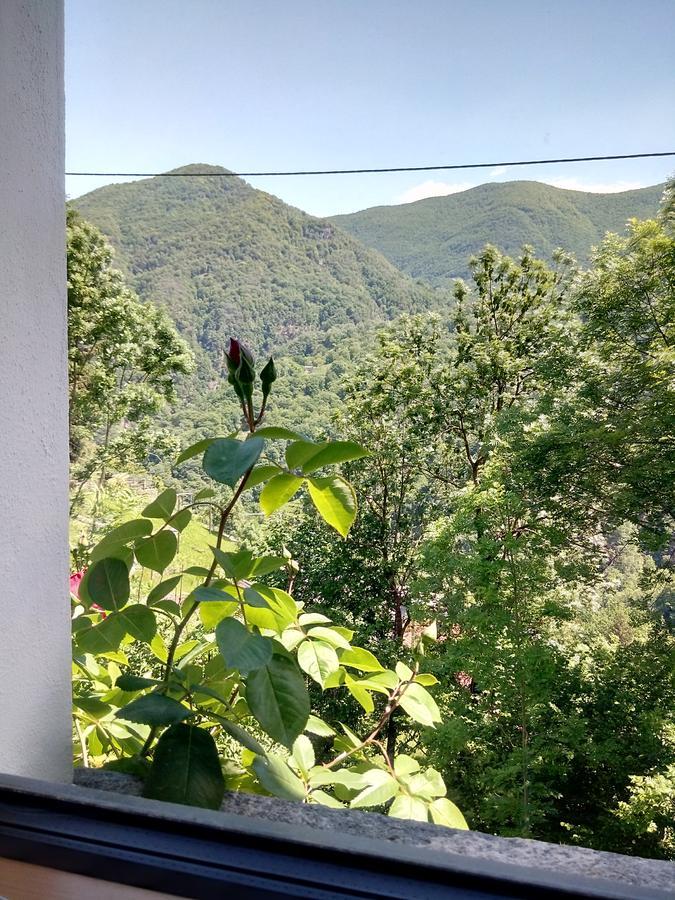 Rustico "Casa Di Sasso" Villa Intragna Luaran gambar